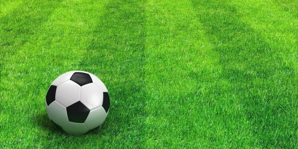 球迷聚会组织场景